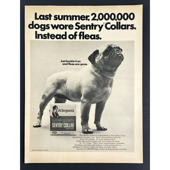 Sergeant's Sentry Dog Collar "Just Buckle Up and Fleas are Gone" Print Ad 1967 - Picture 3 of 3